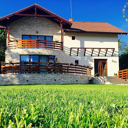 Pensiunea Casa Florela Capusu Mic Екстер'єр фото