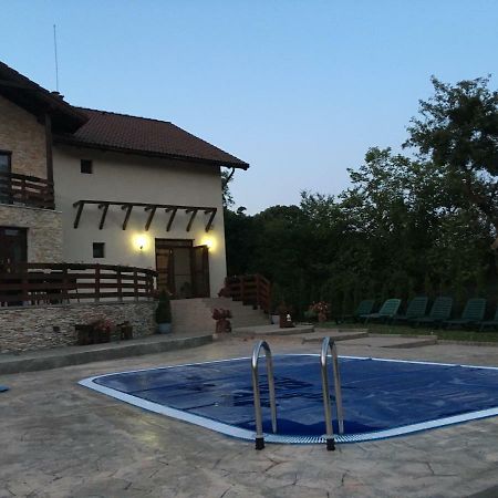 Pensiunea Casa Florela Capusu Mic Екстер'єр фото